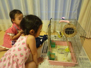 20090714192058.JPG