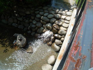 090805_114659.JPG