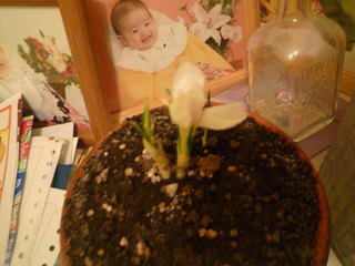 100226_201118.JPG