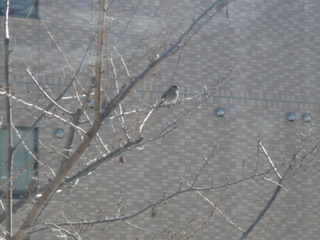 100302_100224.JPG