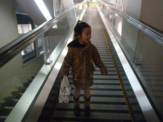 100305_154554.JPG