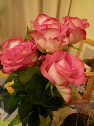 100312_180135.JPG