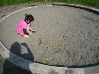 100515_150727.JPG