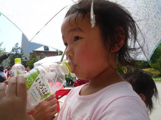 100612_122655.JPG