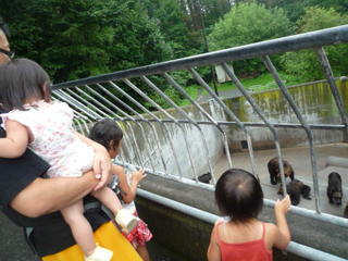 100811_122200.JPG