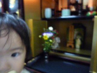 100822_153855.JPG