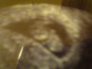 101205_015727.JPG