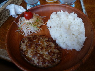 110307_133714.JPG