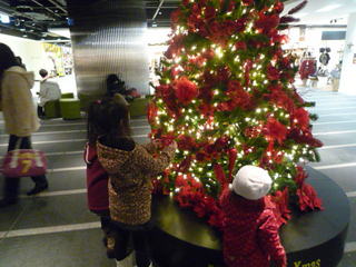 111224_113330.JPG