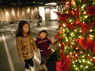 111224_113341.JPG