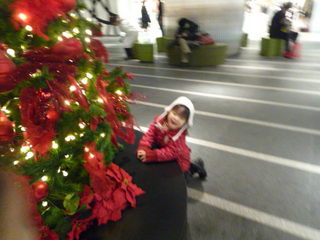 111224_113349.JPG
