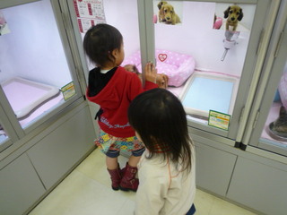 P1070280.JPG