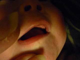 120224_202420.JPG