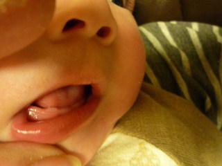 120224_202601.JPG