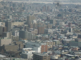 120329_093121.JPG