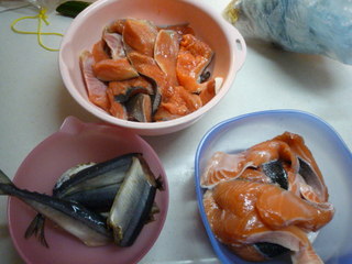 120409_153527.JPG