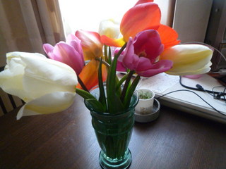 120512_164302.JPG