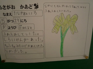 120607_143419.JPG