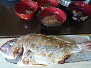 120701_134536.JPG
