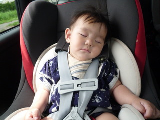 P1090055.JPG