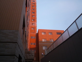 P1100391.JPG