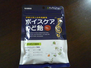 P1100392.JPG