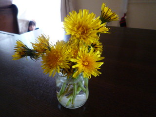 P1100440.JPG