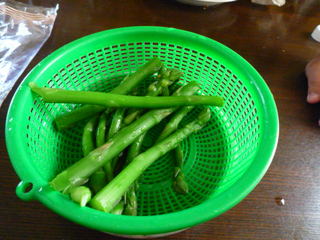 P1100601.JPG
